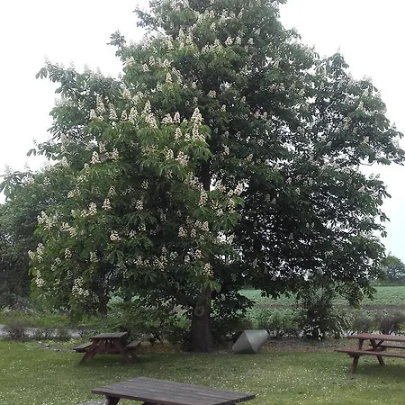 Stenvang Penzion Onsbjerg